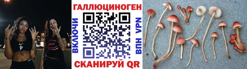 купить закладку Лагань Галлюциногенные грибы MAGIC MUSHROOMS